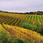ベッド・アンド・ブレックファスト Il Giardino Di Sofia