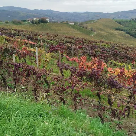 Bed & Breakfast Il Giardino Di Sofia Piozzo