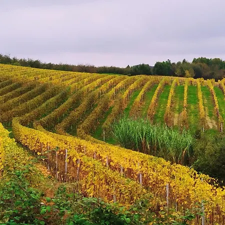 Bed & Breakfast Il Giardino Di Sofia