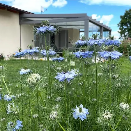 Il Giardino Di Sofia 4*