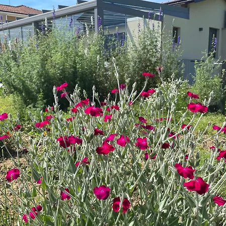 Il Giardino Di Sofia *