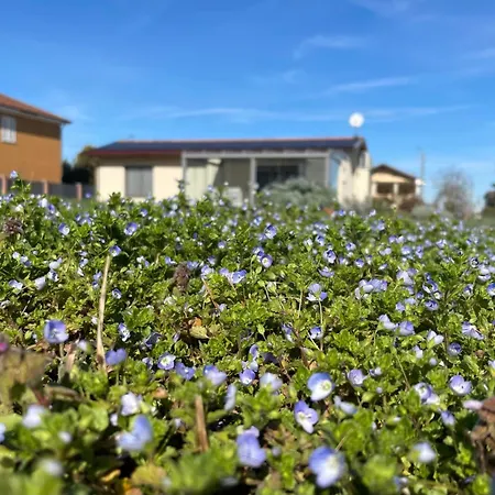 Il Giardino Di Sofia 4* Piozzo