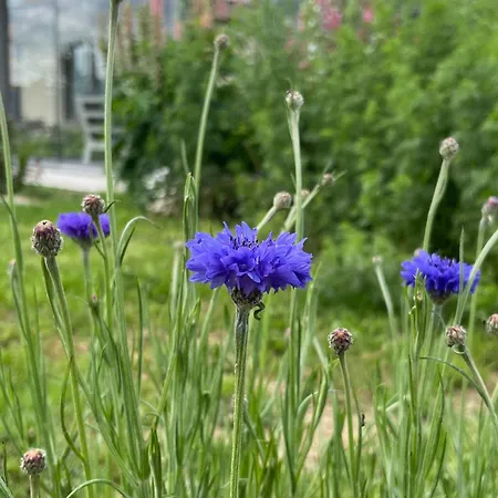 Il Giardino Di Sofia Oda ve Kahvaltı