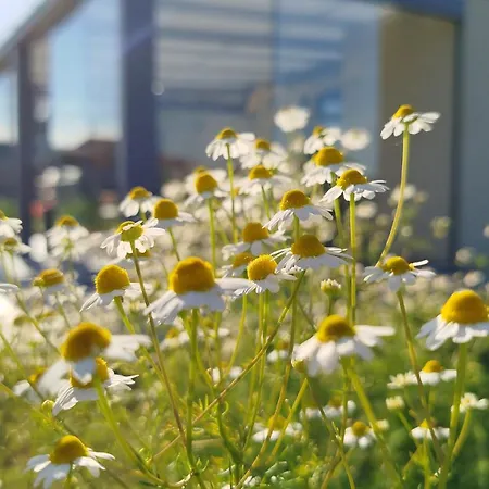 Il Giardino Di Sofia Bed & Breakfast 4*