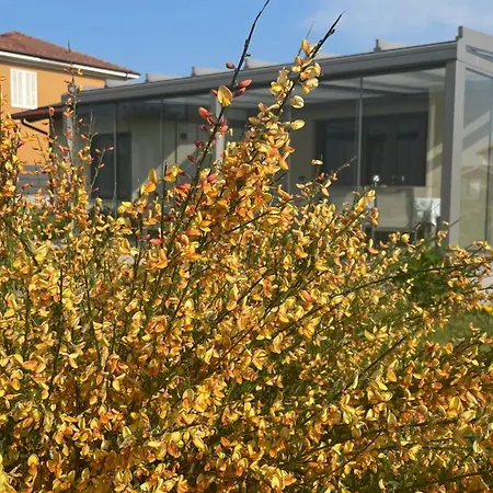 Il Giardino Di Sofia Piozzo