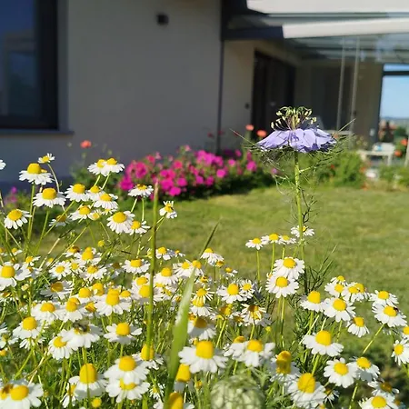 Il Giardino Di Sofia Oda ve Kahvaltı