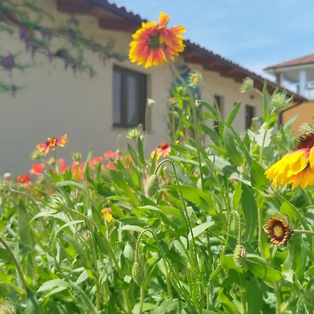 Bed & Breakfast Il Giardino Di Sofia