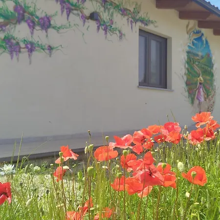 Il Giardino Di Sofia *