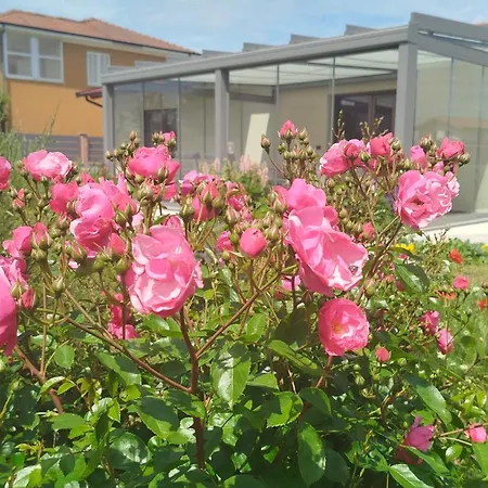 Il Giardino Di Sofia 4*