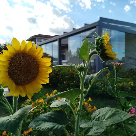 ベッド・アンド・ブレックファスト Il Giardino Di Sofia