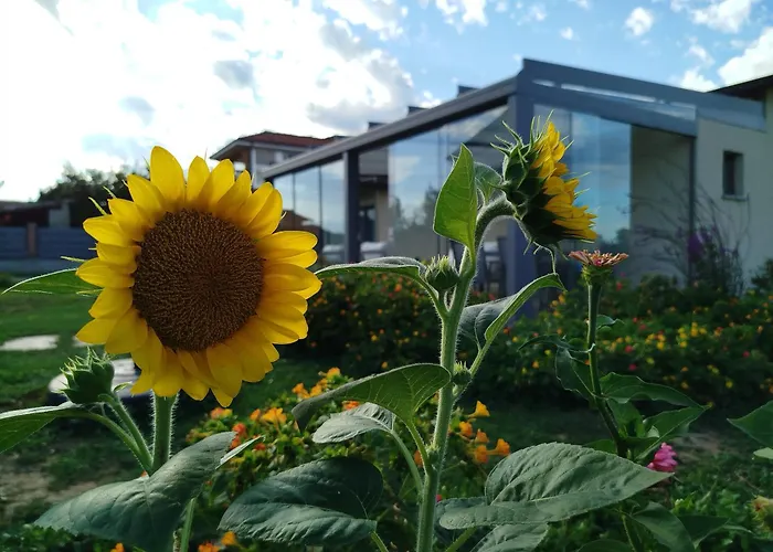 ベッド・アンド・ブレックファスト Il Giardino Di Sofia